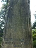 image of grave number 306496